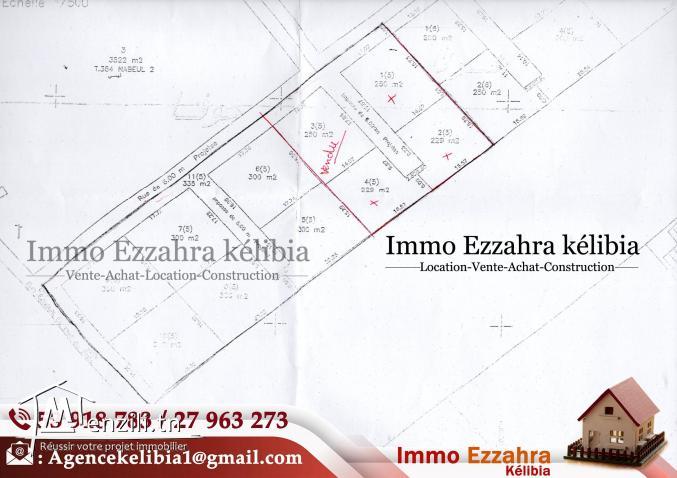 Nouveau lotissement  à  #Dar_Allouch