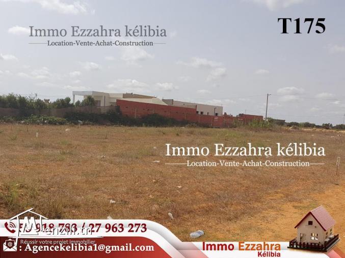 Nouveau lotissement  à  #Dar_Allouch