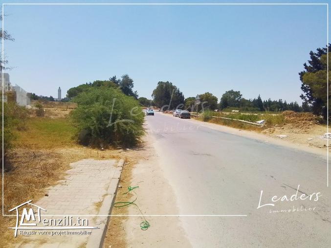 A_VENDRE un Terrain commercial à La marsa