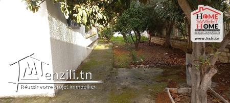 Terrain Promoteur Celine A Vendre A Menzah 1