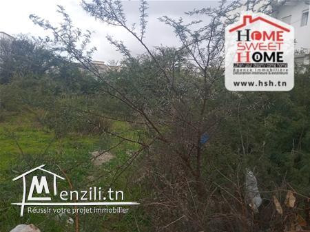 Terrain Jana à Vendre à La Soukra