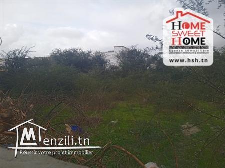Terrain Jana à Vendre à La Soukra