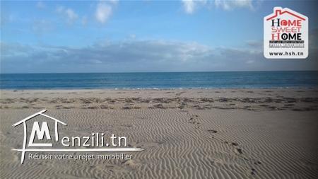 Terrain Alberto A Vendre A Raoued Plage