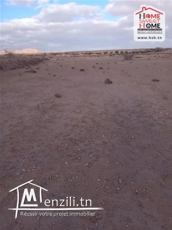 Terrain Agricole Magel Bel Abbes à Vendre à Kasserine