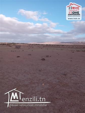 Terrain Agricole Magel Bel Abbes à Vendre à Kasserine