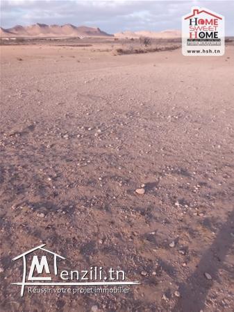 Terrain Agricole Magel Bel Abbes à Vendre à Kasserine