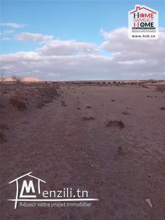 Terrain Agricole Magel Bel Abbes à Vendre à Kasserine