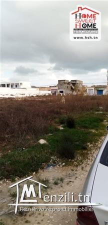 Terrain Gbana A Vendre A raoued