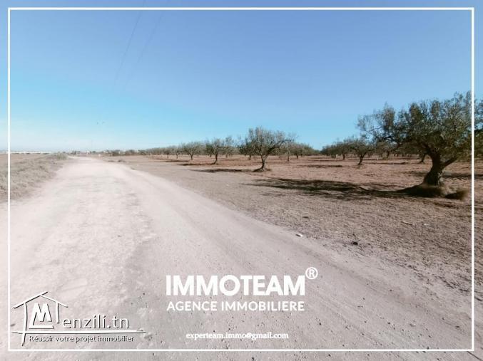 Un terrain à 500 m de la plage à vendre