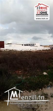 Terrain Lysa A vendre A Raoued