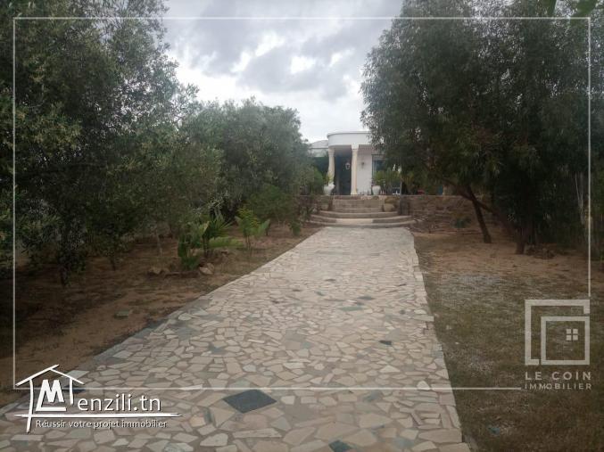 #villa s+3 avec jardin, située à menchar #Hammamet_Sud.