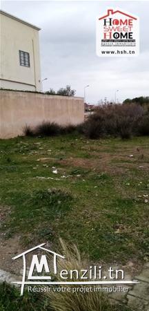 Terrain Elsa A Vendre A Raoued