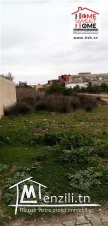 Terrain Elsa A Vendre A Raoued