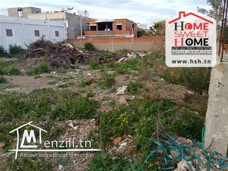 Terrain Laura à Vendre à Chotrana