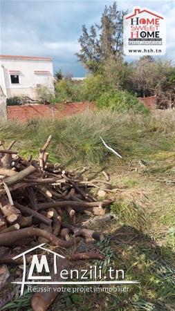 Terrain Villa Arenal à Vendre à Gammarth