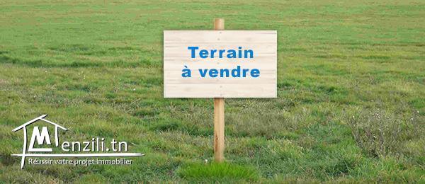 Terrain au coeur du centre ville de Fouchana