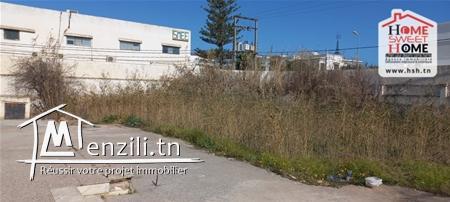 Terrain Livia à Vendre à Chotrana