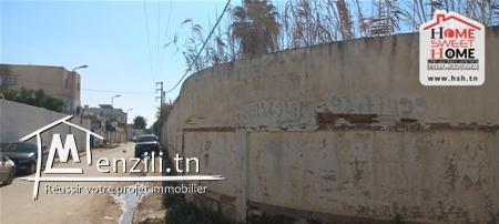 Terrain Livia à Vendre à Chotrana