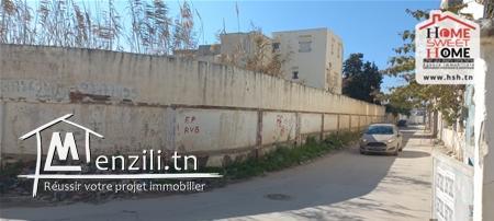 Terrain Livia à Vendre à Chotrana