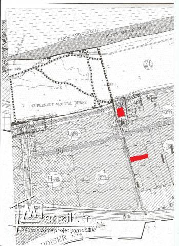 TERRAINS DE 500 m2 à 8000 m2