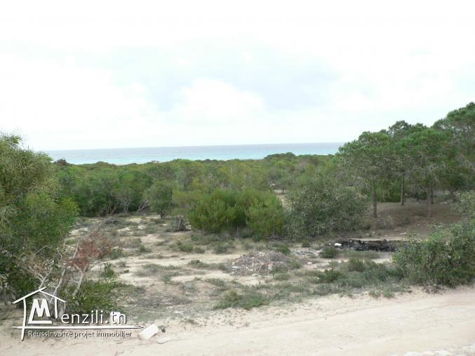 TERRAINS DE 500 m2 à 8000 m2