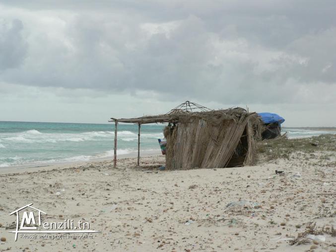 TERRAINS DE 500 m2 à 8000 m2