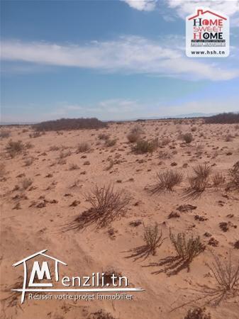 Terrain Agricole Montaura à Vendre à Sidi Aich, Gafsa