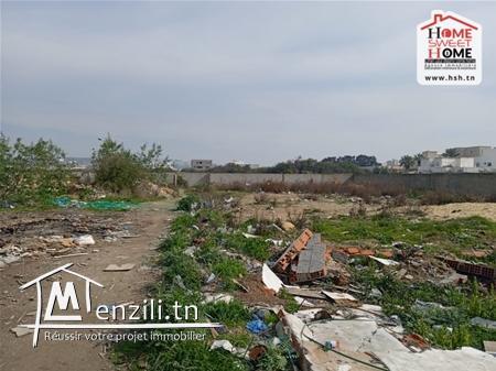 Terrain Elena à Vendre à La Soukra