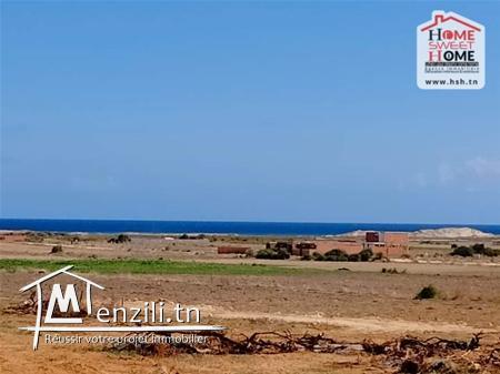 Terrain Villa Torres à Vendre à Dar Allouche, Nabeul