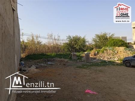 Terrain Danièla à Vendre à Chotrana