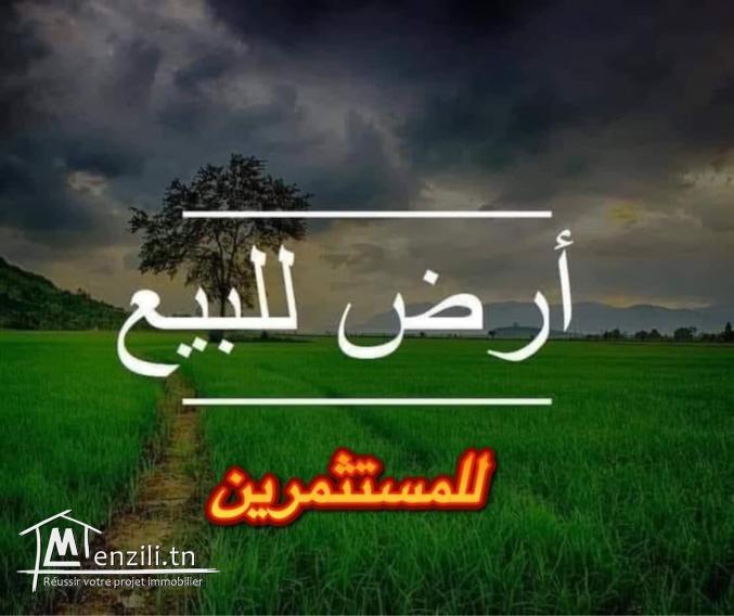 Terrain résidentiel R+5 .