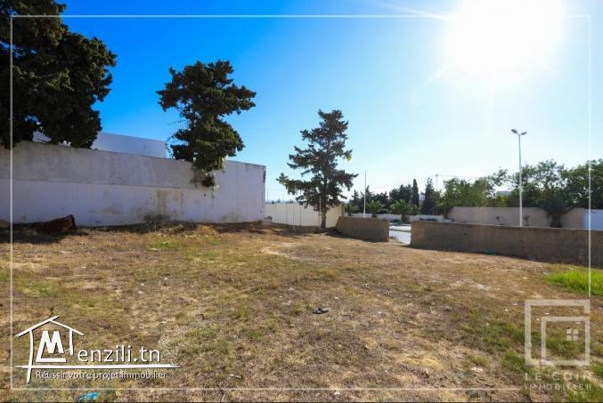 #Avendre un #terrain vue sur mer à #Hammamet_Nord