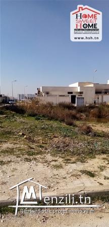 Terrain Triss A Vendre A Raoued