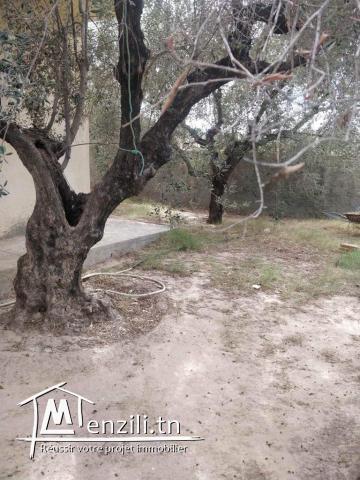 A vendre une maison s+3