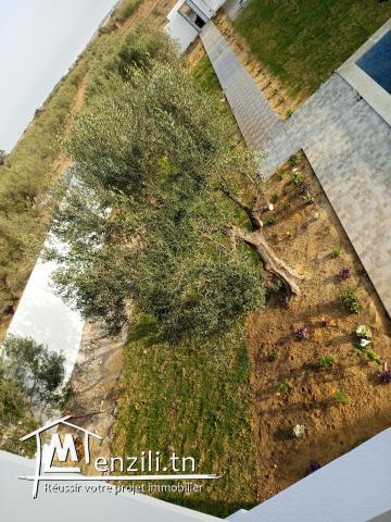 Villa a hammamet sud sidi jdidi