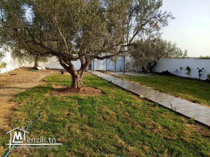 Villa a hammamet sud sidi jdidi