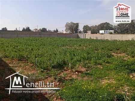 Terrain Kamila à Vendre à Chotrana