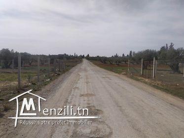 terrain a sidi Bouali