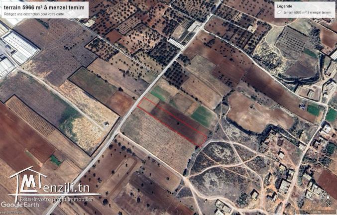 VT790:Terrain agricole 5966 m² à menzel temim