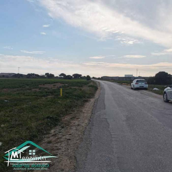 VT790:Terrain agricole 5966 m² à menzel temim