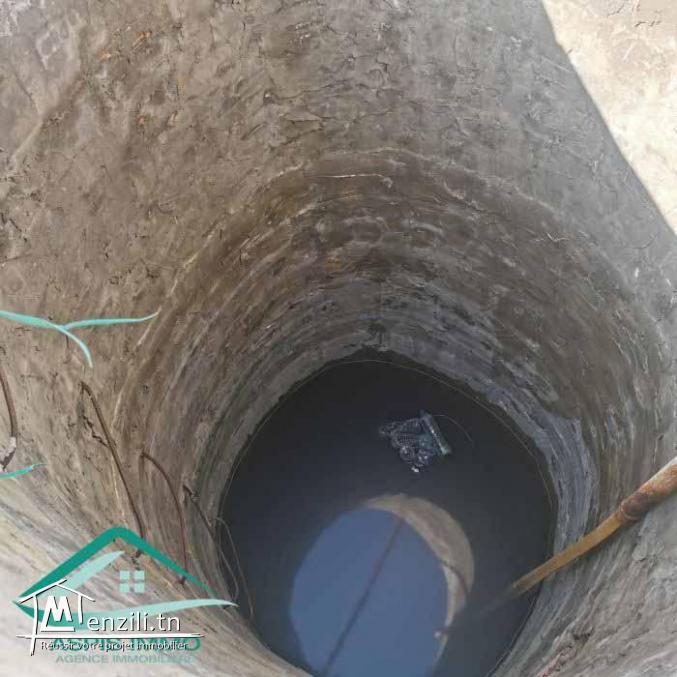 VT792:Terrain agricole 5000 m² à Tahert Kelibia