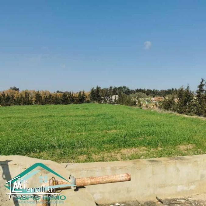 VT792:Terrain agricole 5000 m² à Tahert Kelibia