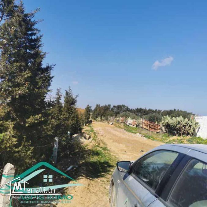 VT792:Terrain agricole 5000 m² à Tahert Kelibia
