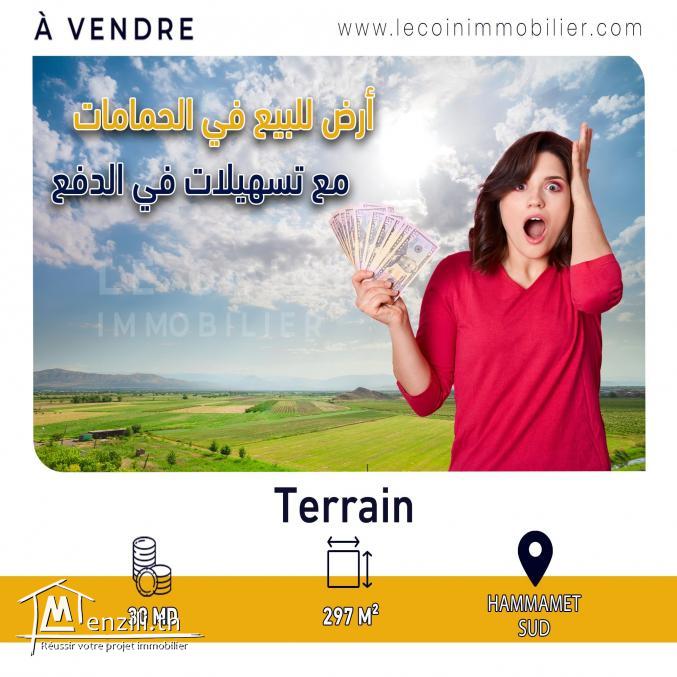 السوم 30 مليون???????? مع امكانية تسهيلات في الدفع ????