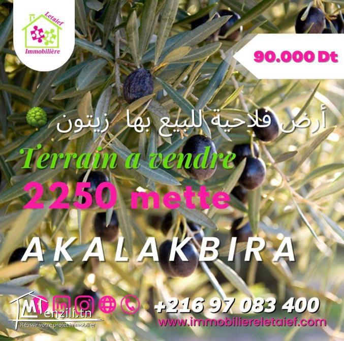 قطعة أرض للبيع بالقلعة الكبرى