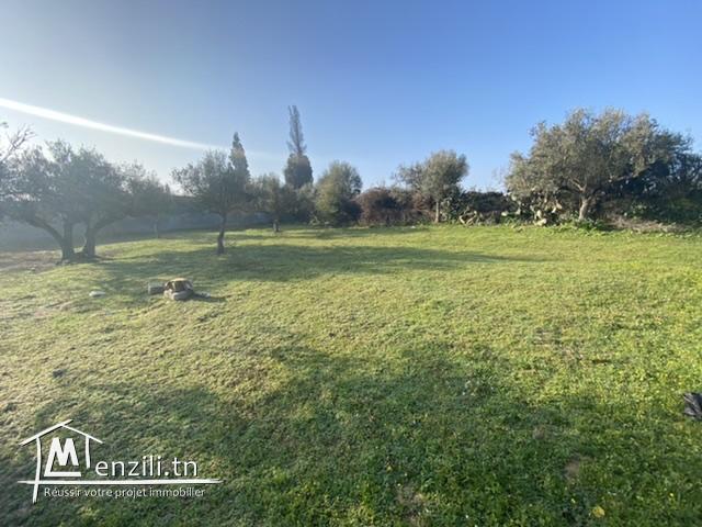 Terrain à vendre kalaat andalous