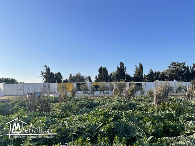 A vendre un terrain a Ghar el Melh Aouesja