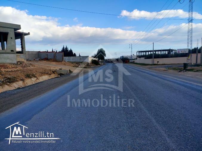 Terrain de 900 m² à vendre à 250 MD à Hammamet Sud 51355351t