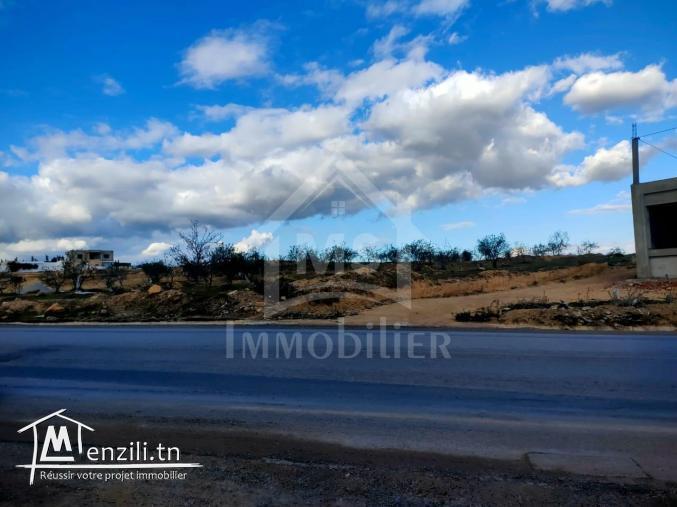 Terrain de 900 m² à vendre à 250 MD à Hammamet Sud 51355351t
