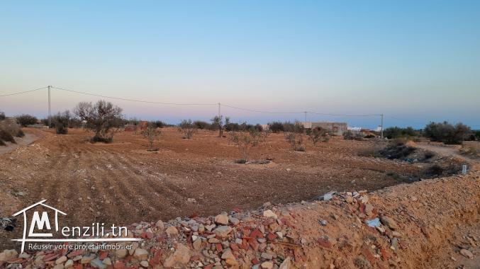 Terrain 2600m 1er position